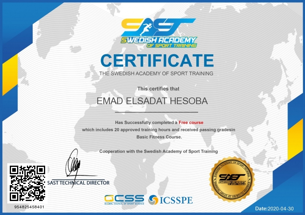 EMAD ELSADAT TAHA HESOBA